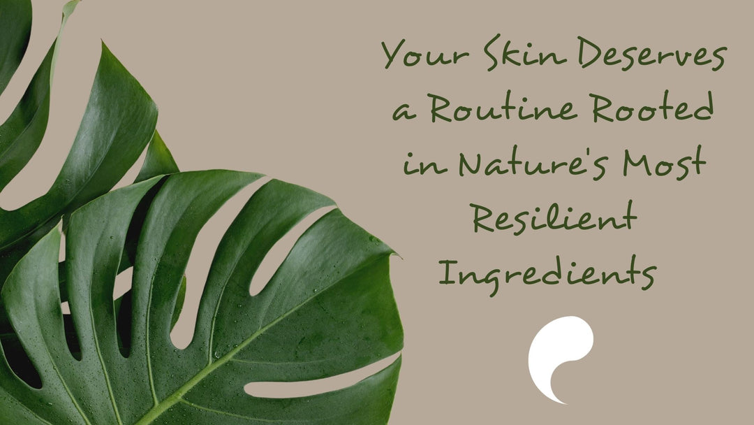 Vitamin C & Desert Botanicals: Why Your Skin Deserves a Routine Rooted in Nature's Most Resilient Ingredients